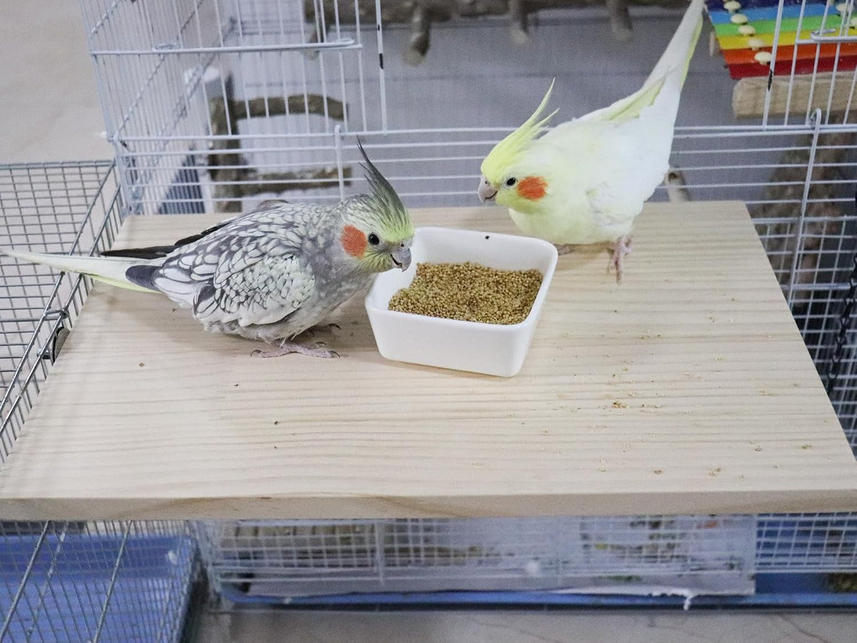 15.7×10.4 Inches Large Bird Perch Stand Platform - 21.7 × 13.8 Inches Natural - image 3