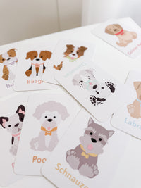 Dog Breed Flash Cards