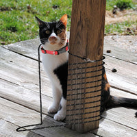 Extra Long Cat Leash for Yard - 30 ft - image 4