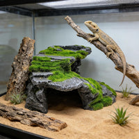 M2cbridge Reptile Hide Resting Step Ledge Cave Hideout Turtle Basking - Moss Step Ledge B - image 2