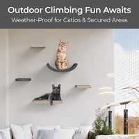Wall Mounted Cat Perch Long Shelf by Pryde Pets - Floating Hammock Bed, 100% Sustainable PET Felt Feline Enrichment Climber Furniture for Indoor Cats, Modern Climbing Gym Jungle Design (Charcoal)