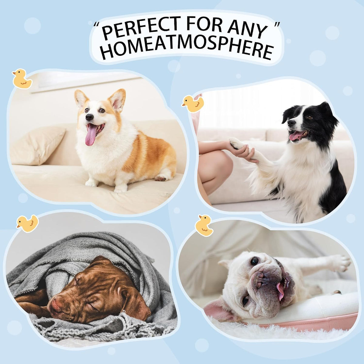 Dog Pajamas Onesie: Comfortable Four-Legged Apparel for Small - Yellow Duck / S-(4~7lb) | Chest(~15.5") - image 4