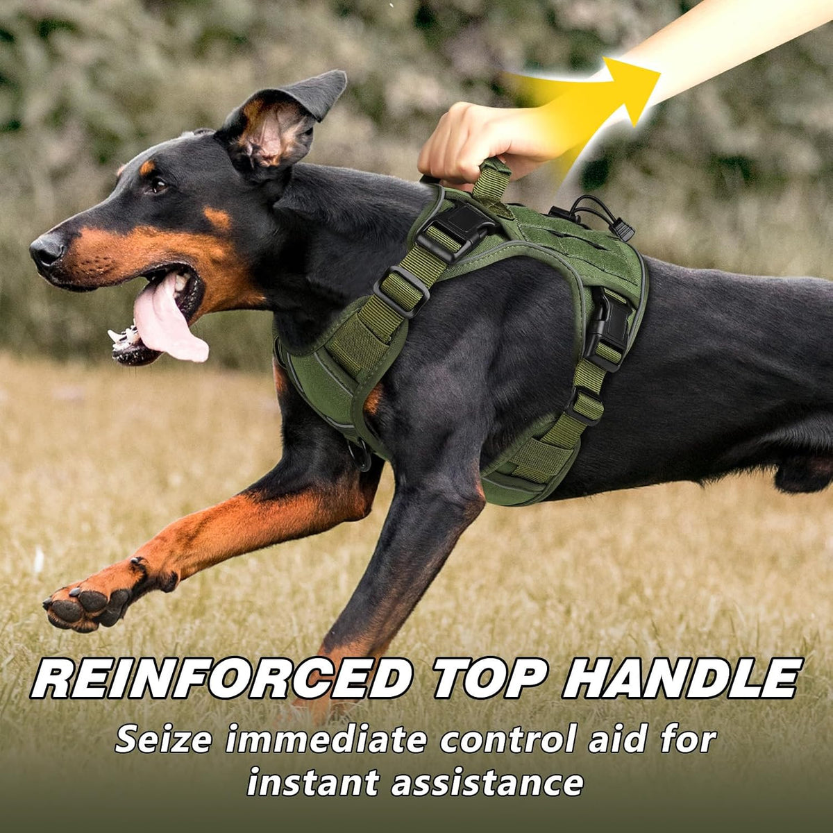 Tactical Dog Harness for Large Dogs - Green / Medium: 30-50 lbs (Chest:24-28",Neck:17-19") - image 3