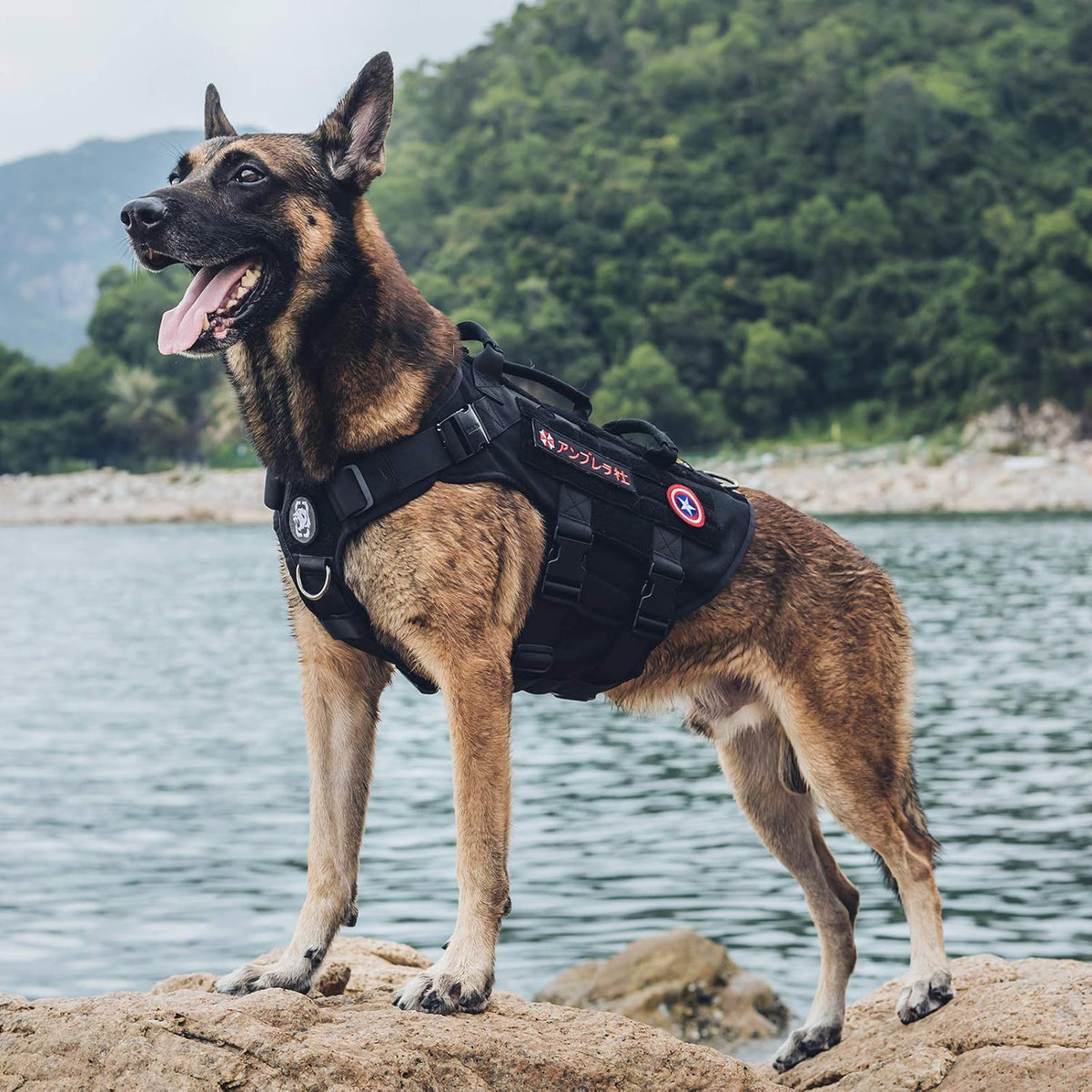 OneTigris Large Tactical Dog Harness No Pull Handle XL Black – Essentials for Dogs - Extra Large / Black - image 2