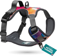 Embark No Pull Dog Harness, Reflective Adjustable Training Vest - XS / Aurora