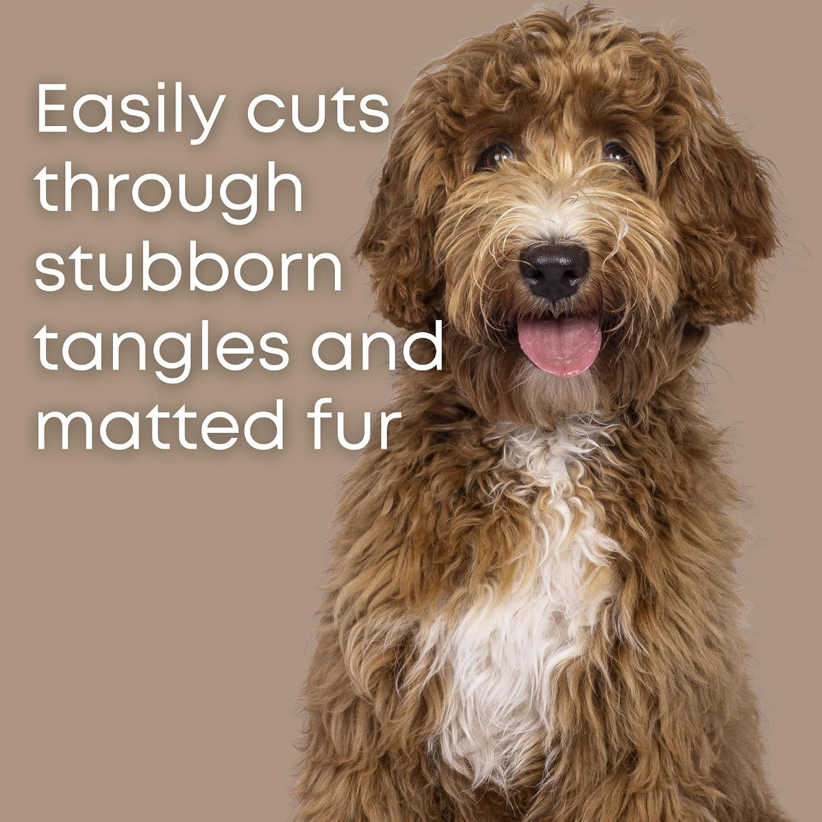 Dematting Comb for Dogs, Serrated Mat Remover for Curly Coats - image 2