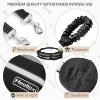 Hands-Free Waist Leash with Pouch for Two Dogs: Reflective Stitching, Dual Handle & Bungee Retractable Design – Ideal for Medium to Large Dogs (Grey) – Dog Walking Accessories