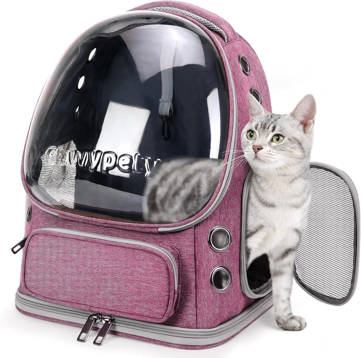 Cat Backpack Carrier, Breathable Cat Carrier Large Space Bubble Pet Backpack for Kitty Small Dog up - Pink