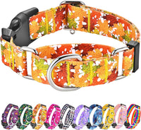 Martingale Dog Collar with Buckle - Orange Leaves / Small