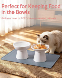 2-Pack Elevated Ceramic Cat Bowls Extra Wide for Food & Water – Essentials for Cats - White+Mat - image 4