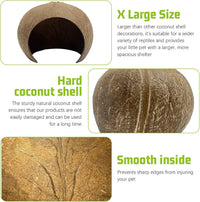 PINVNBY 2 PCS Natural Coconut Reptile Hideouts Lizard Coco Hut Hermit - Smooth Surface / Extra Large Size, 1 PCS - image 3