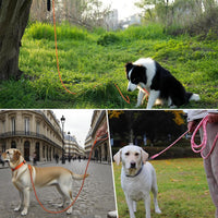 Long Dog Training Leash，Heavy Duty Reflective Rope Lead for Small - Black / 15FT - image 3