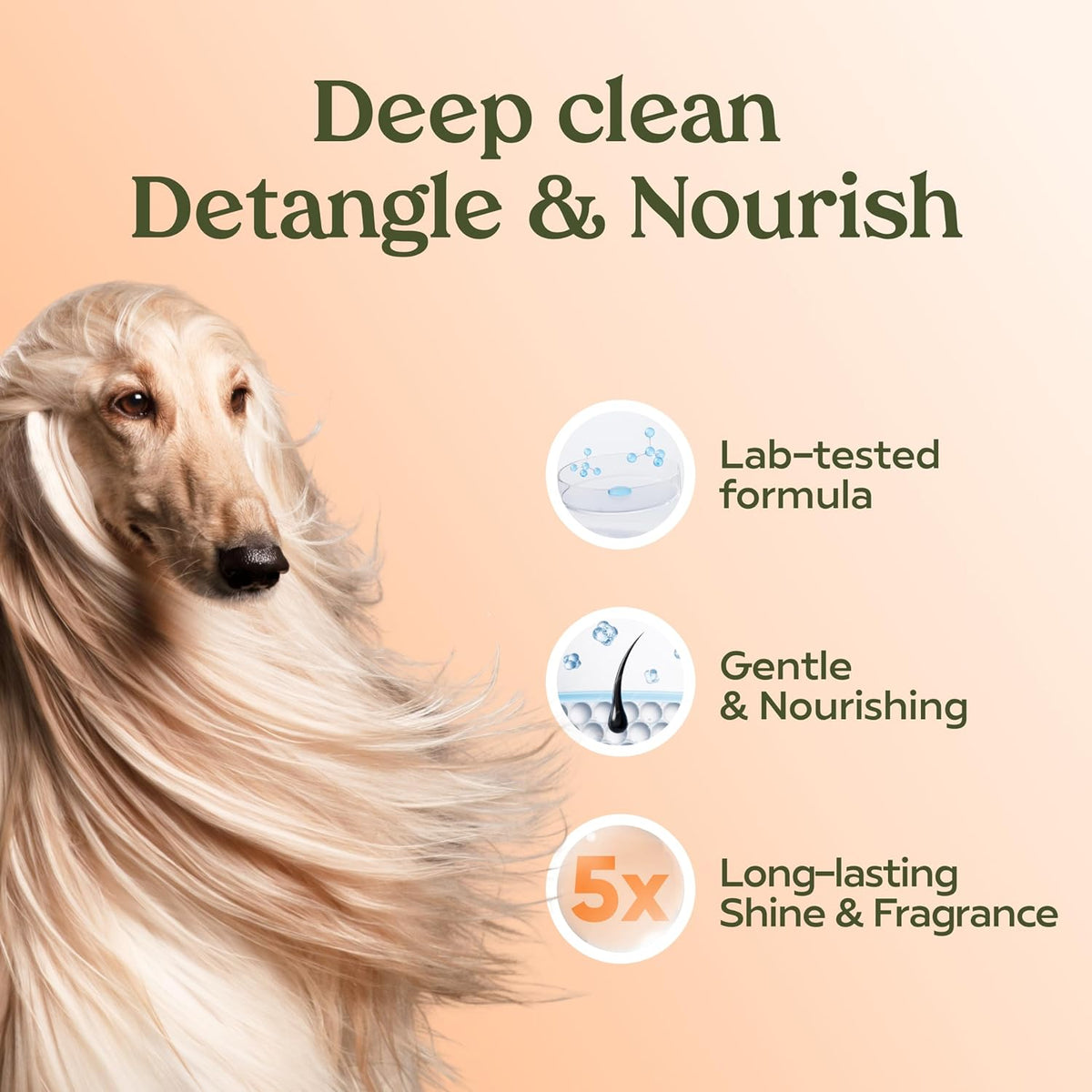 PAWFUME Deshedding Dog Shampoo and Conditioner, Show Dog - Shampoo & Conditioner Show Dog / Pack of 1 - image 2