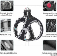 haapaw Dog Harness with Leash Set - XS / Black - image 2