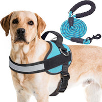 Haapaw Essential Dog Harness - L / Blue