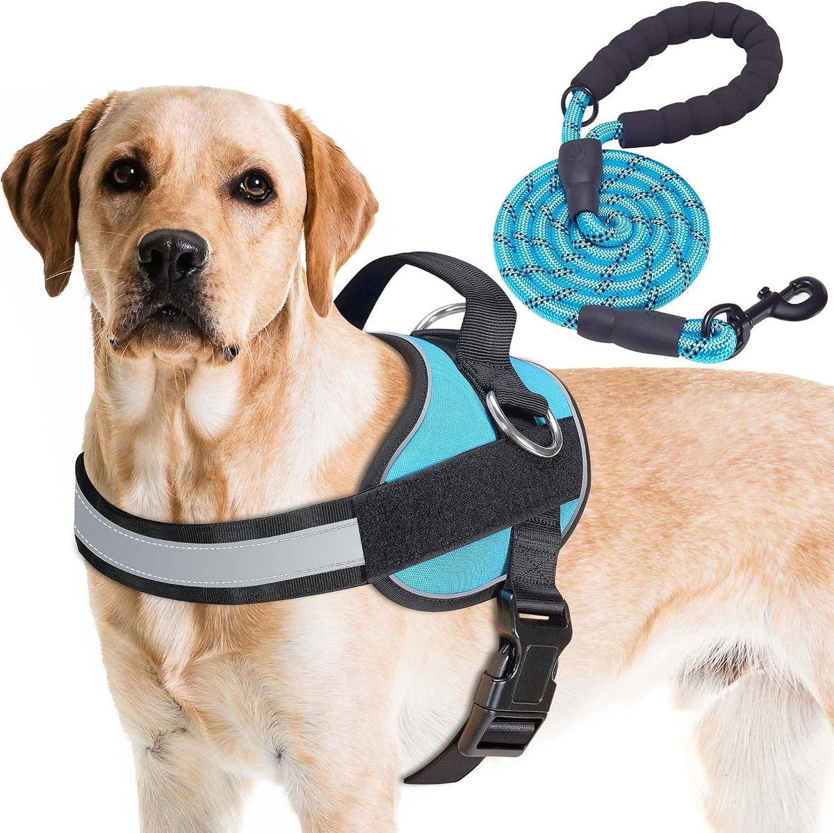 Haapaw Essential Dog Harness - L / Blue