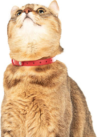 Cat Collar 2 Pack - Soft, Comfortable, and Lightweight Safety Breakaway Collar with Name Tag Ring for Outdoor Cats and Sensitive Skin Kittens by Nuvuq (6 ⅞" to 10 ¼", Red)