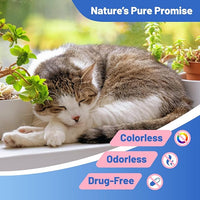 Cat Calming Diffuser, Cat Calming Pheromone Diffuser, Safe Cat Anxiety Relief, Lasts 60 Days, Reduce Stress, Cat Pheromone Diffuser (2Diffusers+2Refills), Calming Cat Pheromone Diffuser