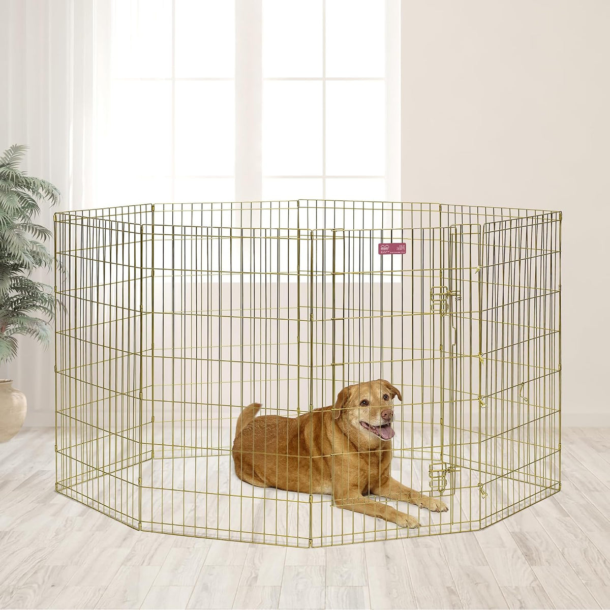 MidWest 30-Inch Exercise Pen, Single Door, 16 Sq Ft Play Area – Essentials for Dogs - Gold Zinc w/ Door / 42" H - image 3