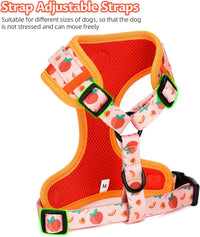 Dog Harness and Leash Set, Adjustable Dog Harness, Dog Leash - Peach / XS(Chest 9.9 - 13.5", Neck 7.8 - 10.2") - image 2