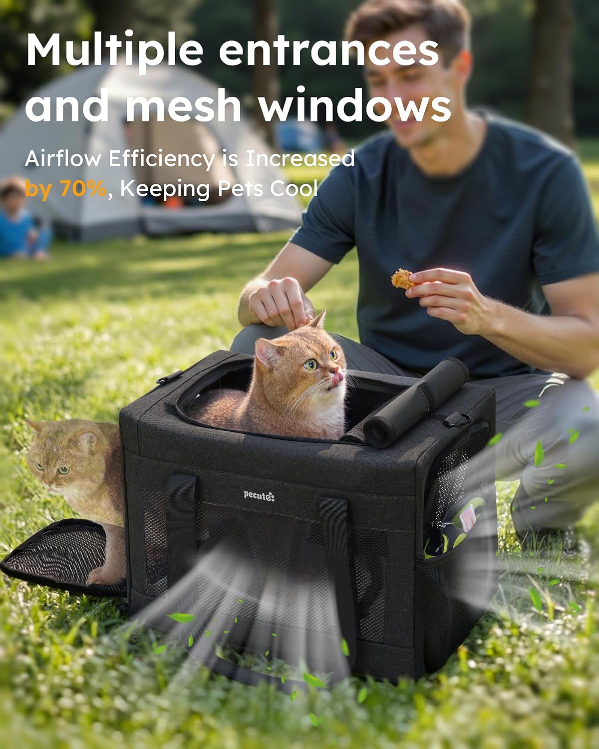Pecute Cat Carrier, Portable Travel Pet Carrier with Stable Structure, Grey – Essentials for Cats - Dark Grey / 16.7"L x 11.8"W x 12.5"H - image 4