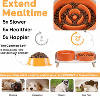 Elevated Slow Feeder Dog Bowls with Splash Proof Stand - Medium / Orange - image 2
