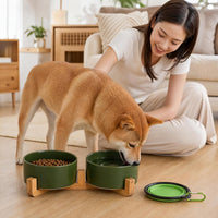 Ceramic Cat Dog Bowl Set with Stand - Rust Green / 400ML*2 - image 2