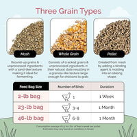 Organic Chicken Feed – Layer Whole Grain, Non-GMO, USA Grown, 16% Protein, Corn-Free, Soy-Free, Non-Medicated Feed for Chickens, 2 lb Sample