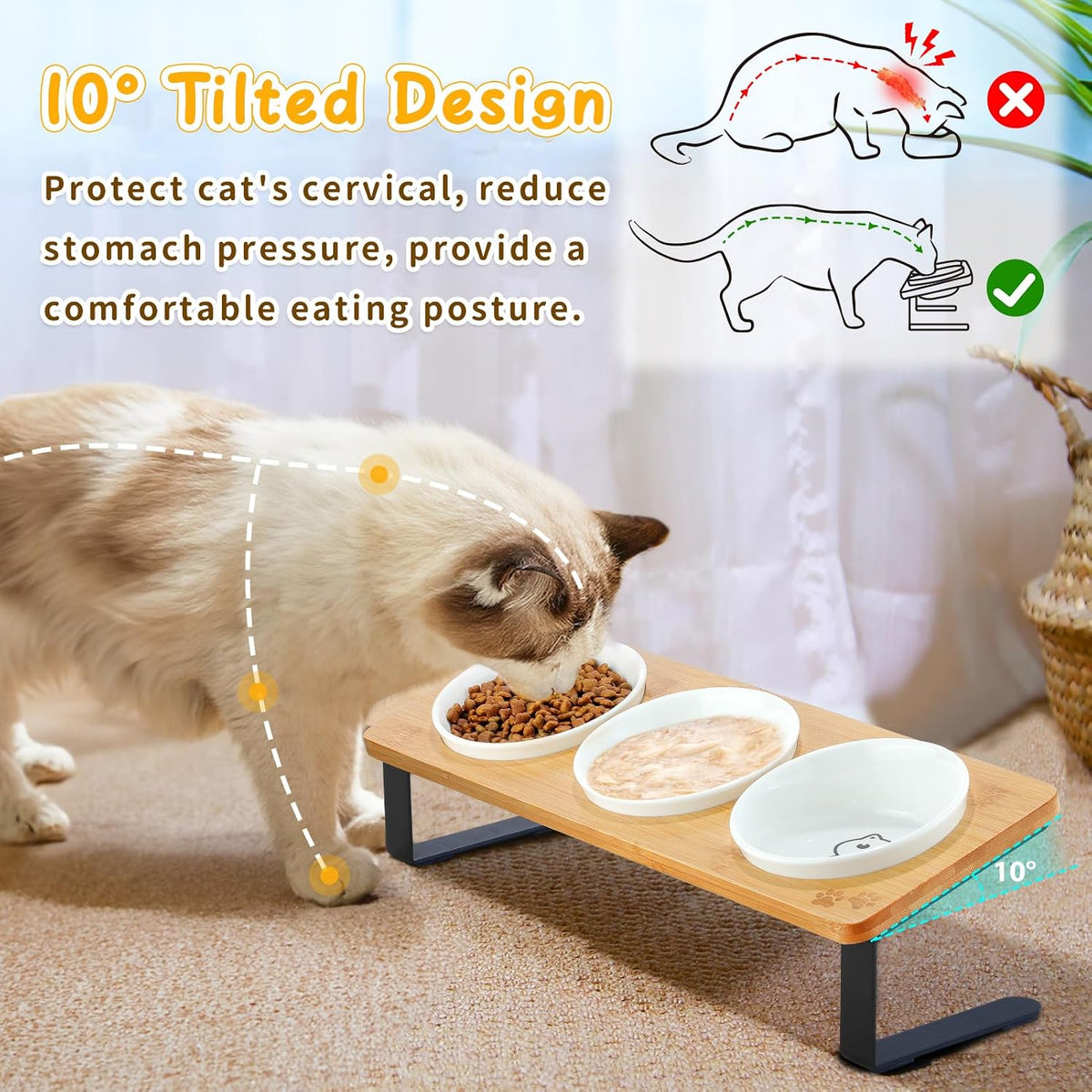 Ceramic Elevated Cat Bowls with 10° Tilted - 5" Bowls x3 - image 3