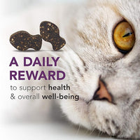 VetriScience Lysine Immunity Health Chews, 250 mg Lysine Plus Immune Supplement for Cats and Kittens with Allergies, Sneezing, Runny Nose and Watery Eyes, Chicken, 3 Pack