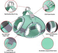 Breathable Dog Harness Small Sized and Leash Set - Turquoise / XXS(Chest: 10 - 11.5") - image 4