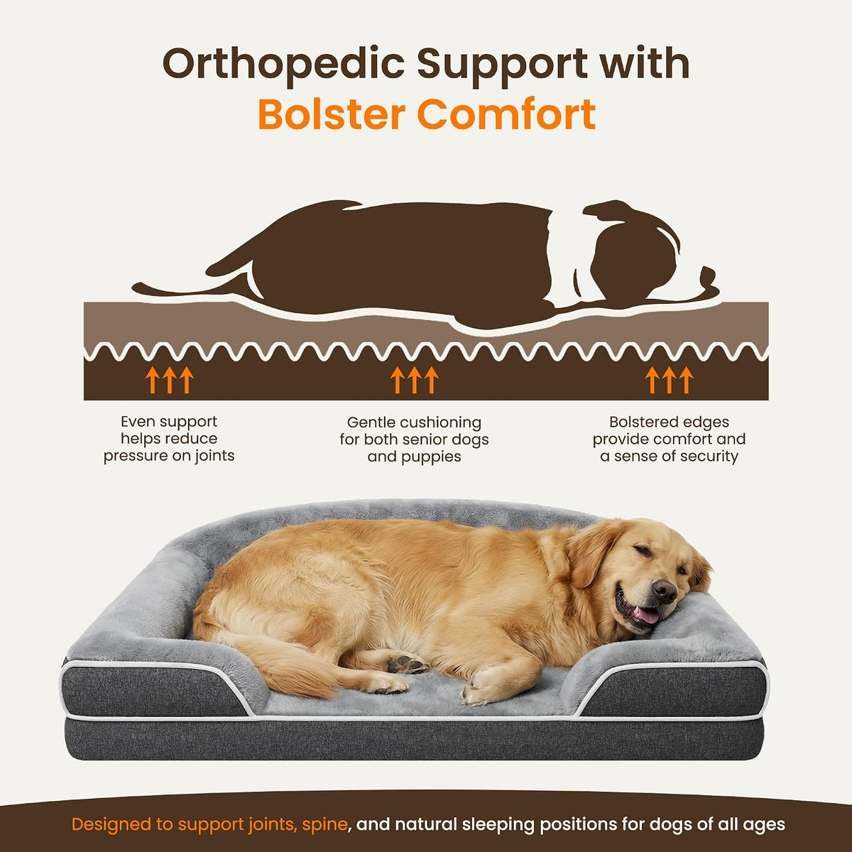 Orthopedic Dog Bed for Extra Large Dogs - Dark Grey / 30.0"L x 20.0"W x 6.5"Th - image 3