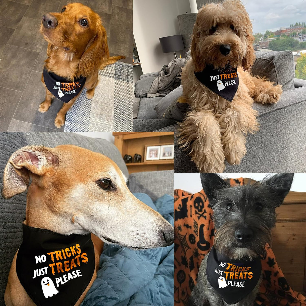 Halloween Dog Bandanas with No Tricks Sign - No Tricks Just Treats, Black / Large - image 4