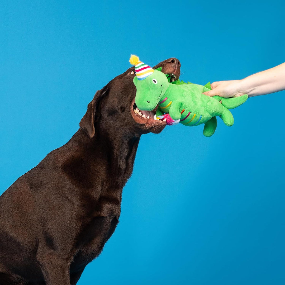 Fringe Studio Dog Plush Pet Toy with Squeaker - I’M How Old? - image 4