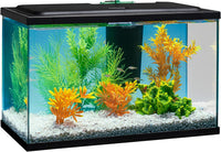 Tetra 5.5 Gallon Glass Aquarium, Rectangular Fish Tank – Essentials for Fish - 5.5 gallons - image 4
