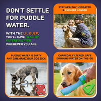 Lil Gulp Dog Water Bottle 15 Fl oz Filtered Portable Travel Bottle – Essentials for Dogs - Power Punch - image 3