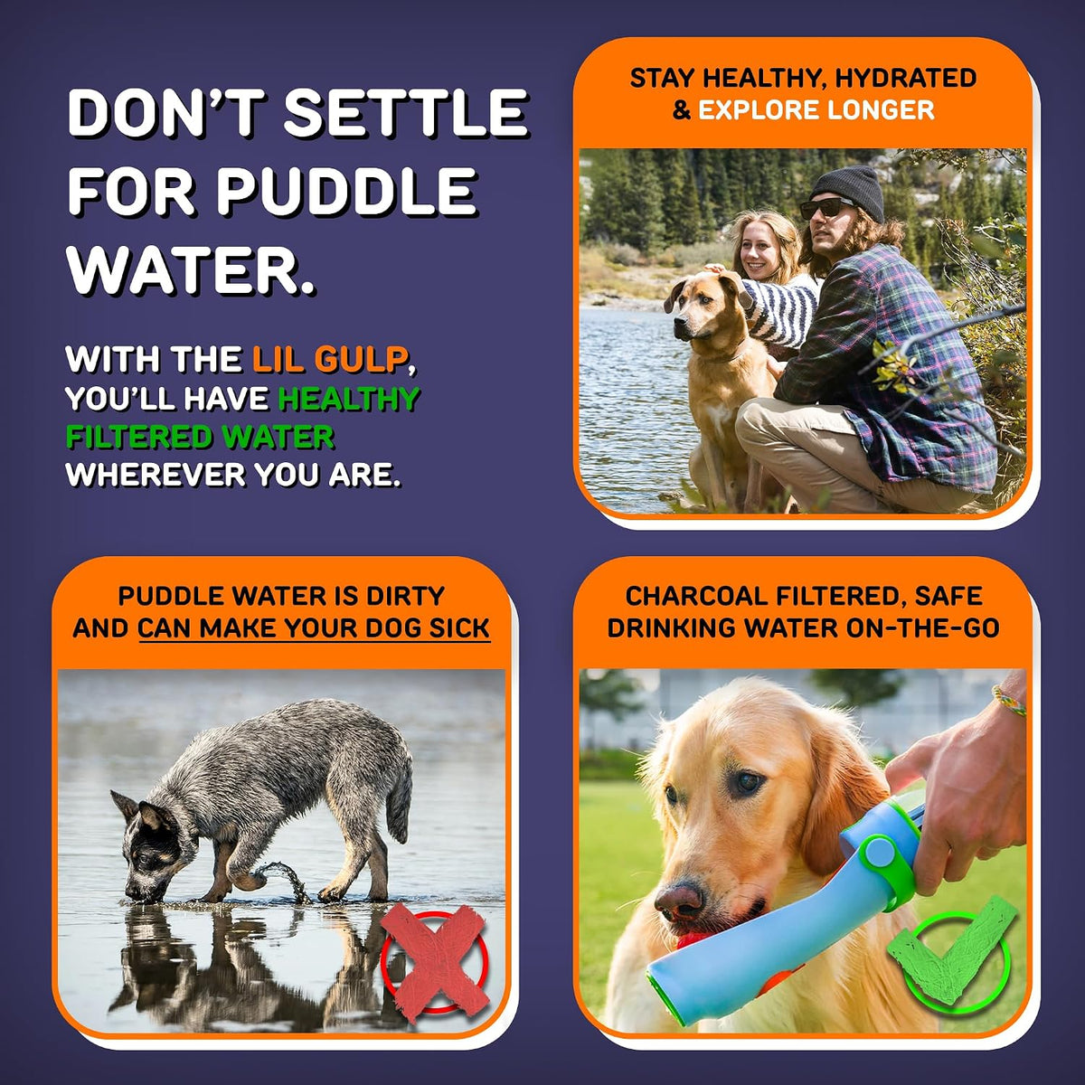 Lil Gulp Dog Water Bottle 15 Fl oz Filtered Portable Travel Bottle – Essentials for Dogs - Power Punch - image 3