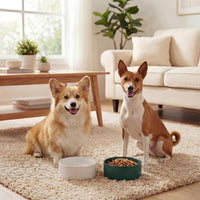 Ceramic Dog Bowl for Food and Water - Medium / Green (2 Pack) - image 4