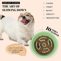 AVERYDAY Slow Feeder Dog Bowls for Large Breed - Slow Feeder Green / 1.5 Cup - Fit 6.4-6.7'' Feeder Holes - image 2