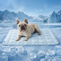 Bedsure ArcticMax Cooling Mat for Large Dogs - Baby Blue / 29"L x 21"W