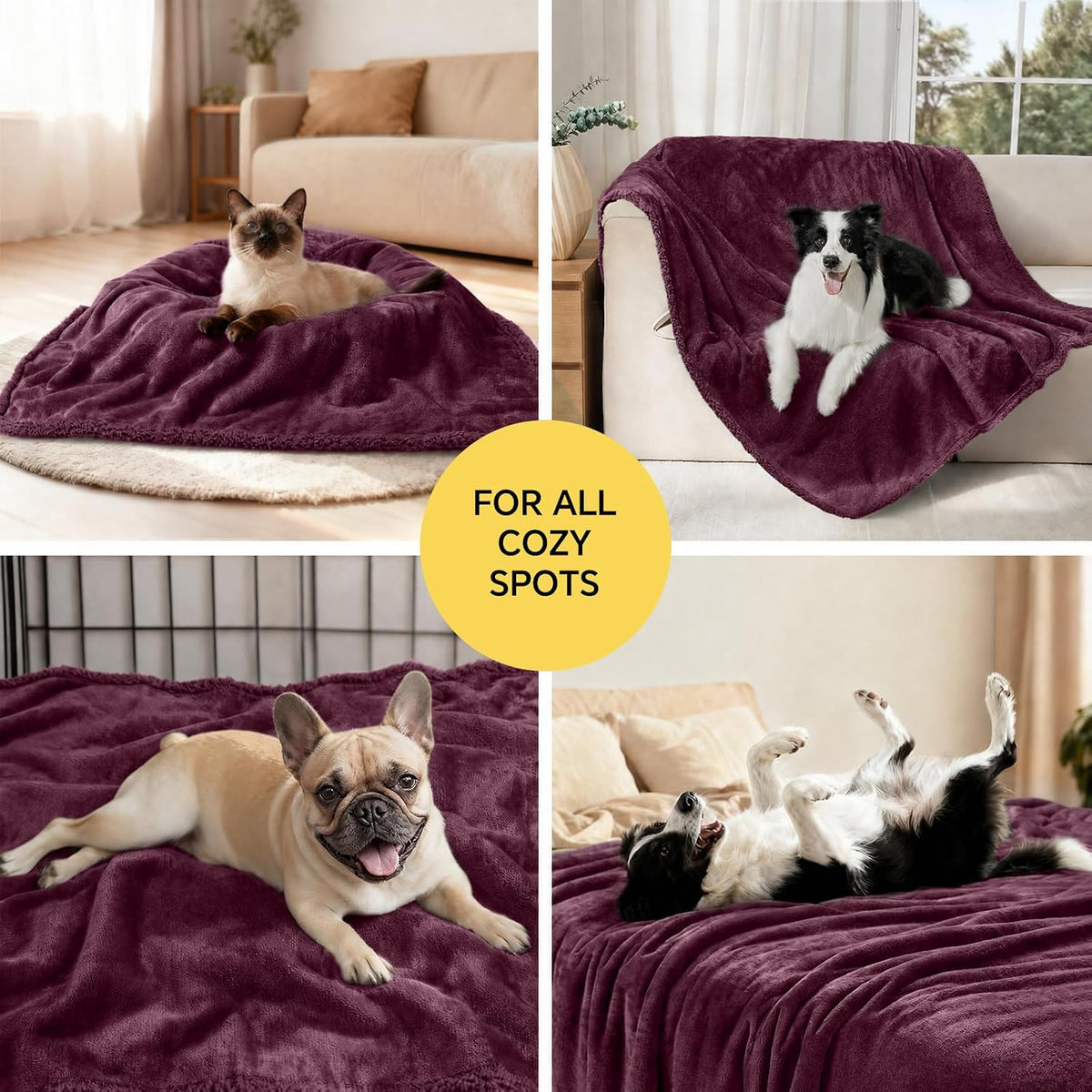 Waterproof Pet Blanket, Liquid Pee Proof Dog Blanket for Sofa Bed Couch, Reversible Sherpa Fleece - M (57" x40") / Concord Grape-thicken - image 3