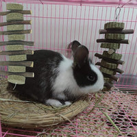Rabbits Chew Toys Bunny Treats Natural Wood Timothy Hay Grass Chew Toys Treats for Hamster Chinchilla Guinea Pigs 6pcs