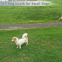 WYuZe 5ft Puppy Leash for Small Dogs Cats - Pink Purple / 5 FT (3~18 lbs) - image 4