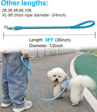 Reflective Dog Leash 2/3/4/6/10ft Braided 1/2" Strong Nylon Rope – Essentials for Dogs - 3ft * 1/2" / Sky blue - image 3