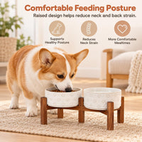Elevated Dog Bowls, Raised Ceramic Dog Bowl for Small & Medium Dogs – Essentials for Dogs - Double Bowls with Stand- Arctic White / 3.4CUPS - image 3