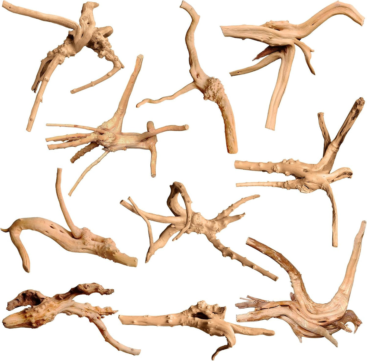 majoywoo Natural Driftwood for Aquarium Decor Fish Tank Decor Reptile - Spiderwood 2 to 4.5 Inch(Pack of 10)