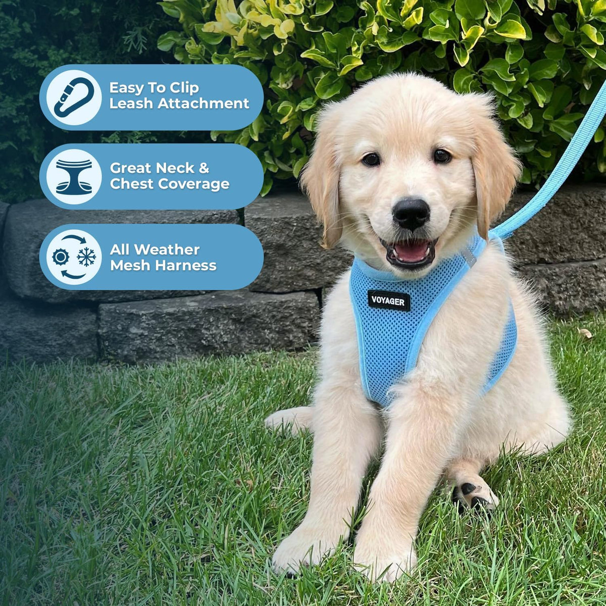 Best Pet Supplies Voyager Step-in Air All Weather Mesh Harness - Baby Blue / XS (Chest: 13 - 14.5") - image 2
