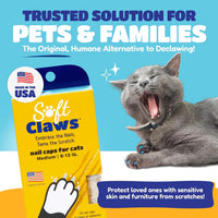 Soft Claws Nail Caps for Medium Cats, 40 Caps - Clear / Medium - image 2