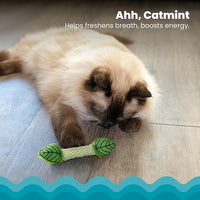 Petstages Fresh Breath Mint Stick Dental Cat Chew Toy