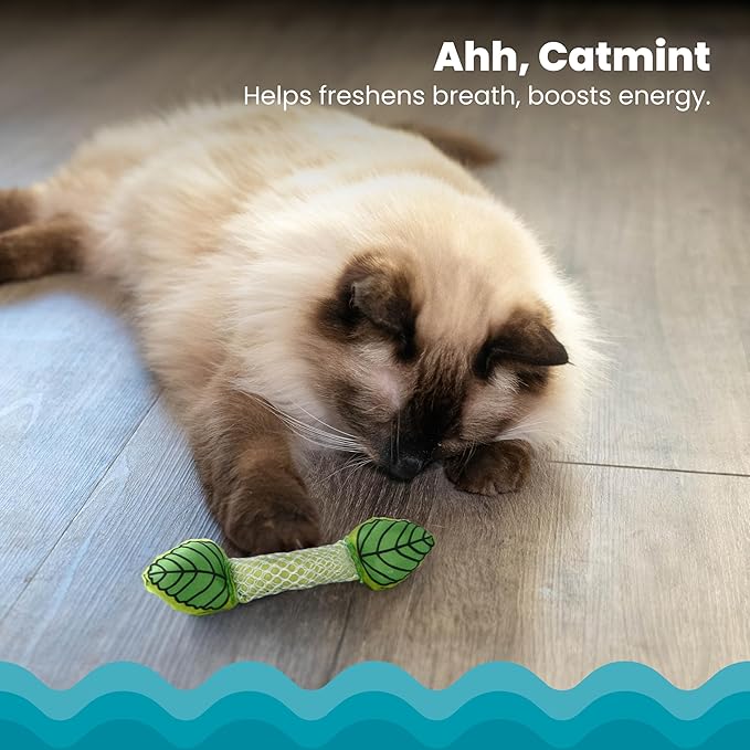 Petstages Fresh Breath Mint Stick Dental Cat Chew Toy